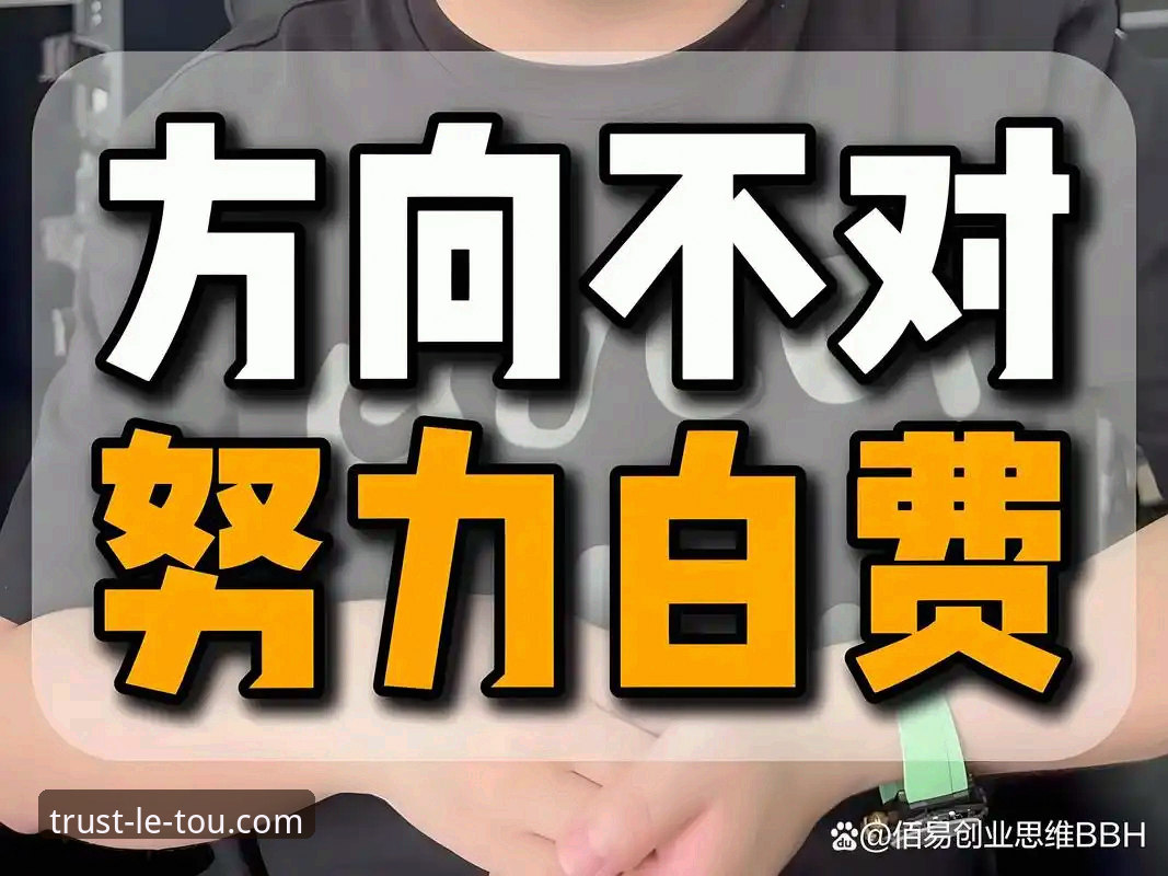 乐投平台推荐：2025年官方入口深度分析与选择指南
